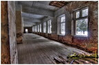  MG 8346 7 8 Enhancer