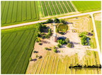 DJI 0802