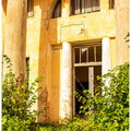  MG 7110 copy